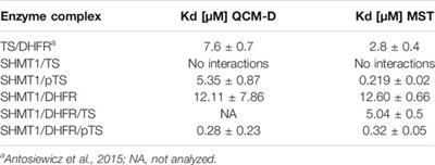 Inhibition of Protein Kinase CK2 Affects Thymidylate Synthesis Cycle Enzyme Level and Distribution in Human Cancer Cells